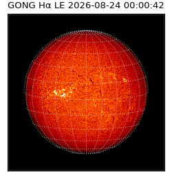gong - 2026-08-24T00:00:42