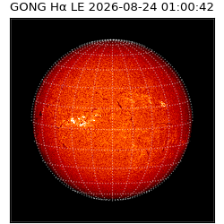 gong - 2026-08-24T01:00:42