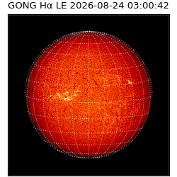 gong - 2026-08-24T03:00:42