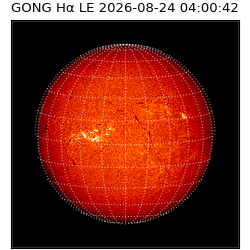 gong - 2026-08-24T04:00:42