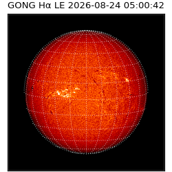 gong - 2026-08-24T05:00:42