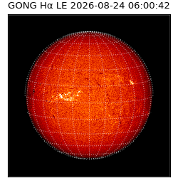 gong - 2026-08-24T06:00:42