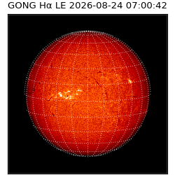 gong - 2026-08-24T07:00:42