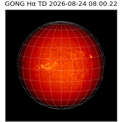 gong - 2026-08-24T08:00:22