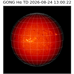 gong - 2026-08-24T13:00:22