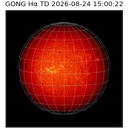 gong - 2026-08-24T15:00:22