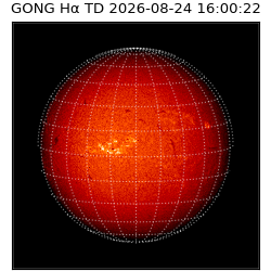 gong - 2026-08-24T16:00:22
