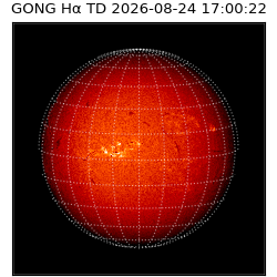 gong - 2026-08-24T17:00:22