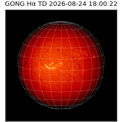 gong - 2026-08-24T18:00:22