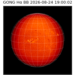 gong - 2026-08-24T19:00:02