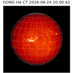 gong - 2026-08-24T20:00:42
