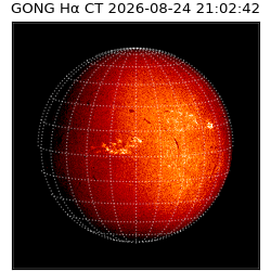 gong - 2026-08-24T21:02:42
