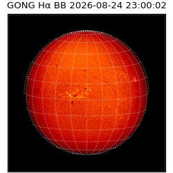 gong - 2026-08-24T23:00:02