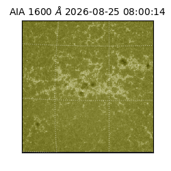 saia - 2026-08-25T08:00:14.124000