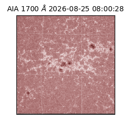 saia - 2026-08-25T08:00:28.717000