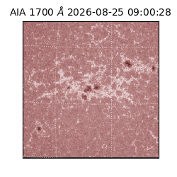 saia - 2026-08-25T09:00:28.740000