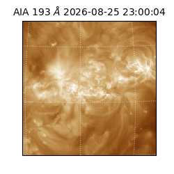 saia - 2026-08-25T23:00:04.842000