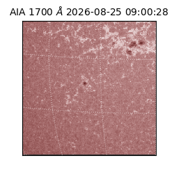 saia - 2026-08-25T09:00:28.740000