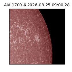 saia - 2026-08-25T09:00:28.740000
