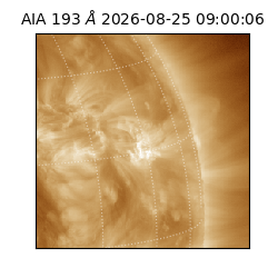 saia - 2026-08-25T09:00:06.419000
