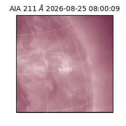 saia - 2026-08-25T08:00:09.623000