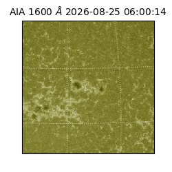 saia - 2026-08-25T06:00:14.123000