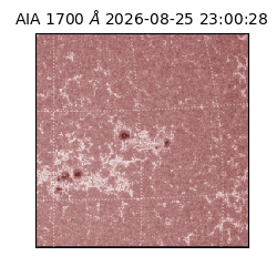 saia - 2026-08-25T23:00:28.716000