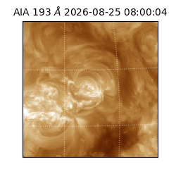 saia - 2026-08-25T08:00:04.842000