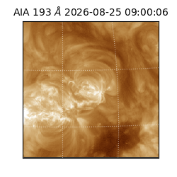 saia - 2026-08-25T09:00:06.419000