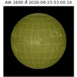 saia - 2026-08-25T03:00:14.120000
