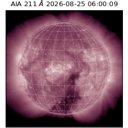 saia - 2026-08-25T06:00:09.624000