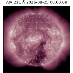saia - 2026-08-25T08:00:09.623000