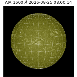saia - 2026-08-25T08:00:14.124000