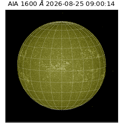 saia - 2026-08-25T09:00:14.123000