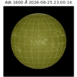 saia - 2026-08-25T23:00:14.123000