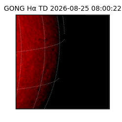 gong - 2026-08-25T08:00:22