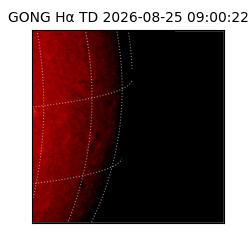 gong - 2026-08-25T09:00:22
