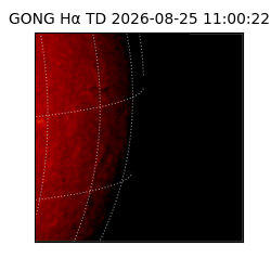 gong - 2026-08-25T11:00:22
