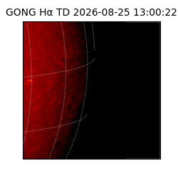 gong - 2026-08-25T13:00:22