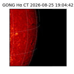 gong - 2026-08-25T19:04:42
