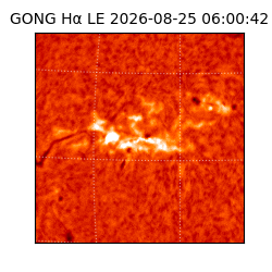 gong - 2026-08-25T06:00:42