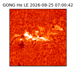 gong - 2026-08-25T07:00:42