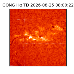 gong - 2026-08-25T08:00:22