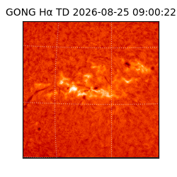 gong - 2026-08-25T09:00:22