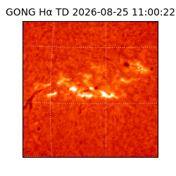 gong - 2026-08-25T11:00:22
