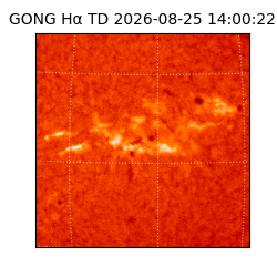 gong - 2026-08-25T14:00:22