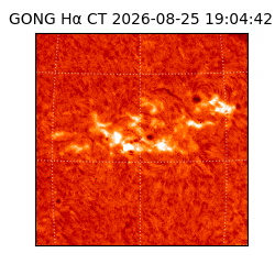 gong - 2026-08-25T19:04:42