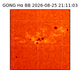 gong - 2026-08-25T21:11:03