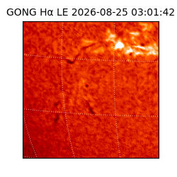 gong - 2026-08-25T03:01:42