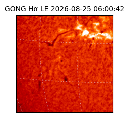gong - 2026-08-25T06:00:42